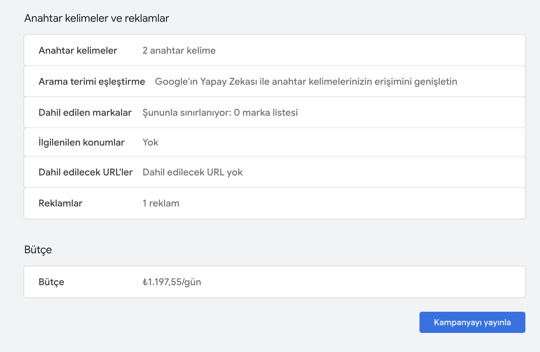 Google Ads kampanyayı yayınlama butonu - son kontrol ve yayına alma
