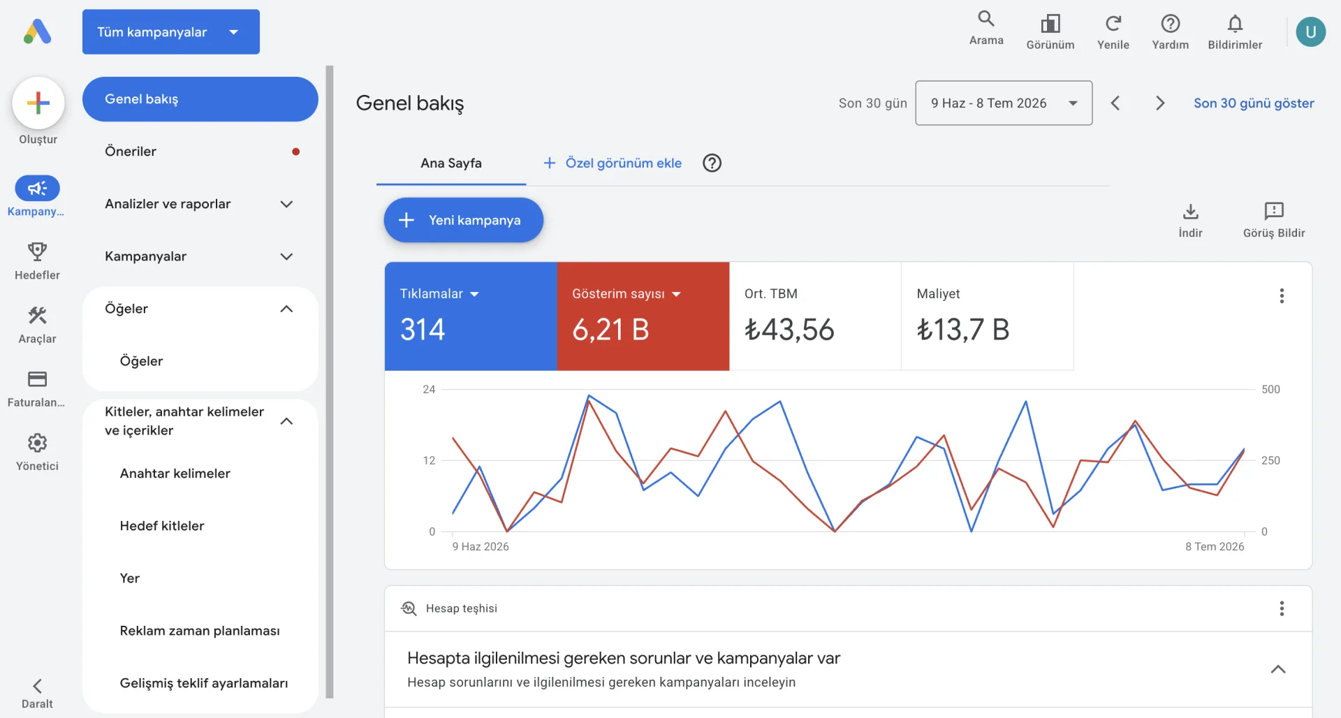 Google Ads reklam verme paneli — genel bakış ekranı