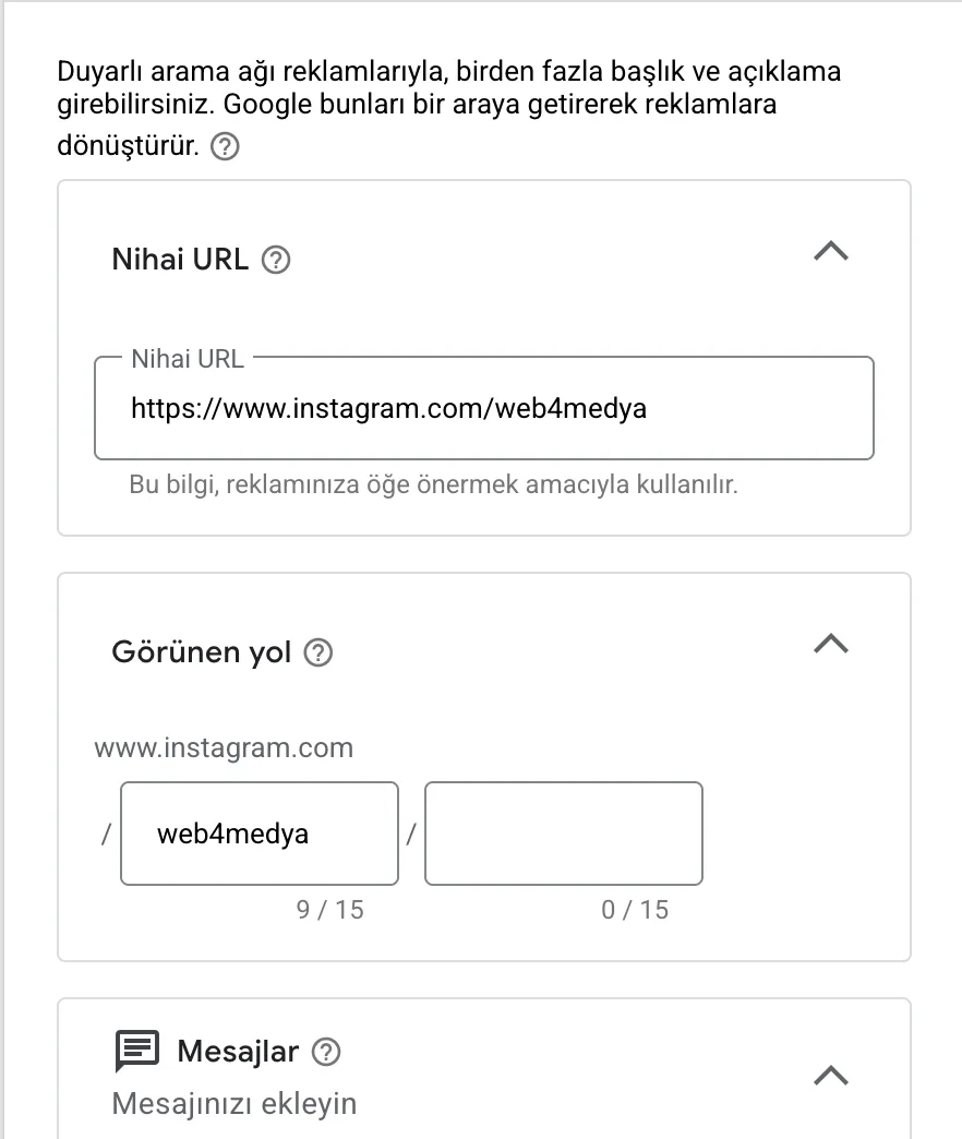 Google Ads kampanyasında web sitesi URL alanına Instagram hesabının adresinin yazılması — örnek görsel